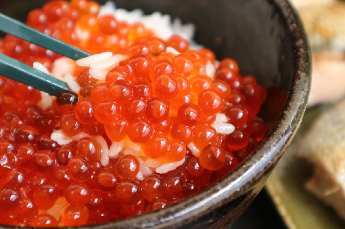 鮭魚卵產品質感