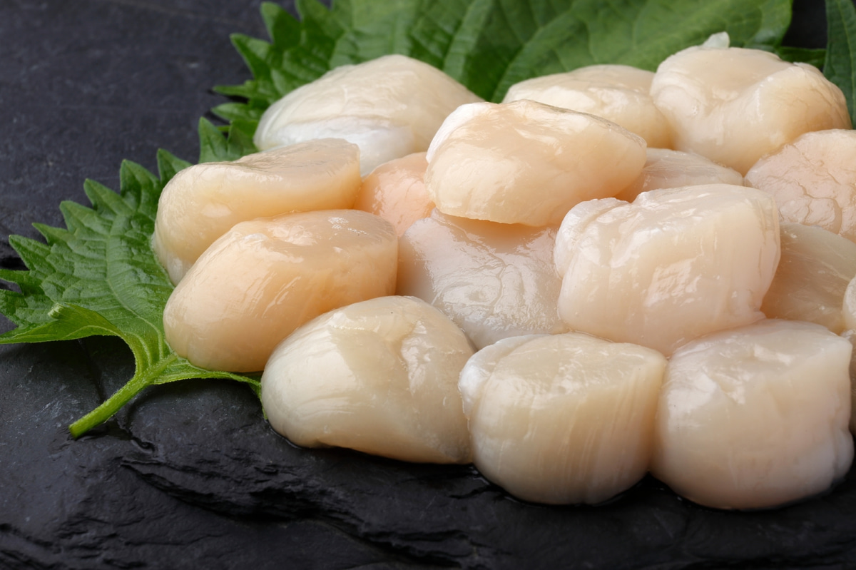 生食級貝柱