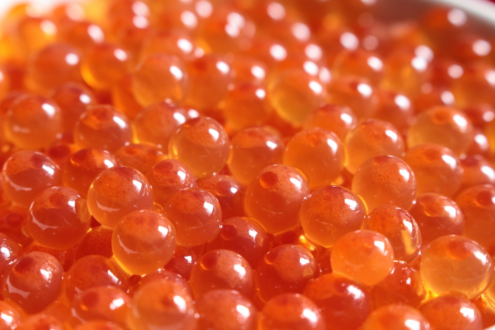 鮭魚卵 Salmon Roe