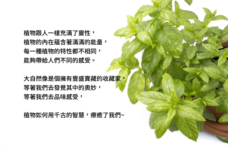 植物小百科