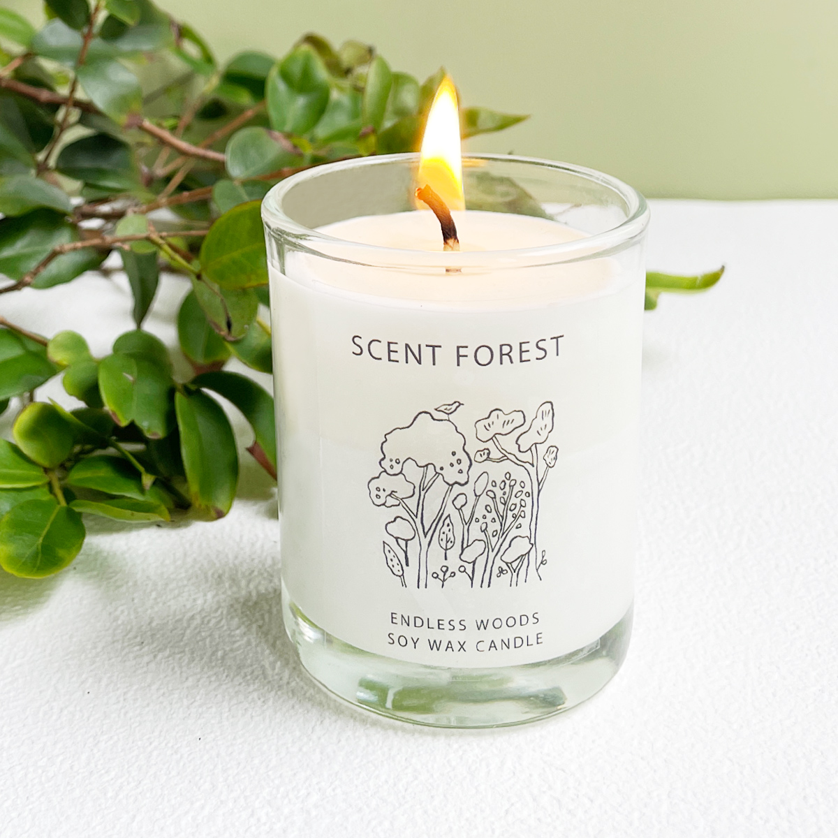 SCENT FOREST 香氛森林 香水 香氛 大豆蠟燭  無邊之林