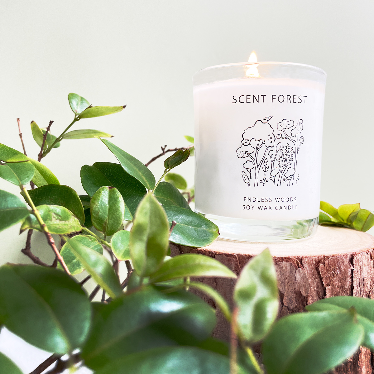 SCENT FOREST 香氛森林 香水 香氛 大豆蠟燭  無邊之林