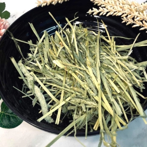 一割提摩西
