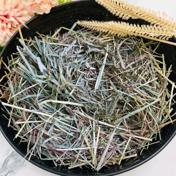 三割提摩西
