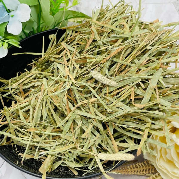 二割提摩西