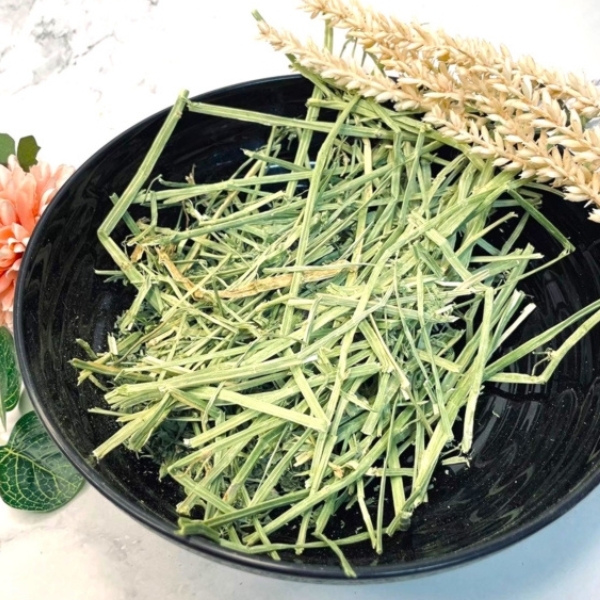 紫花苜蓿草