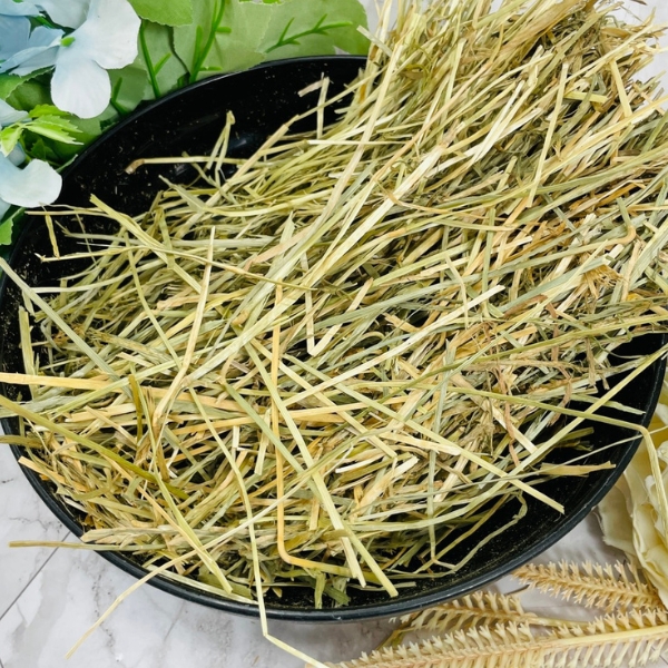 黑麥草