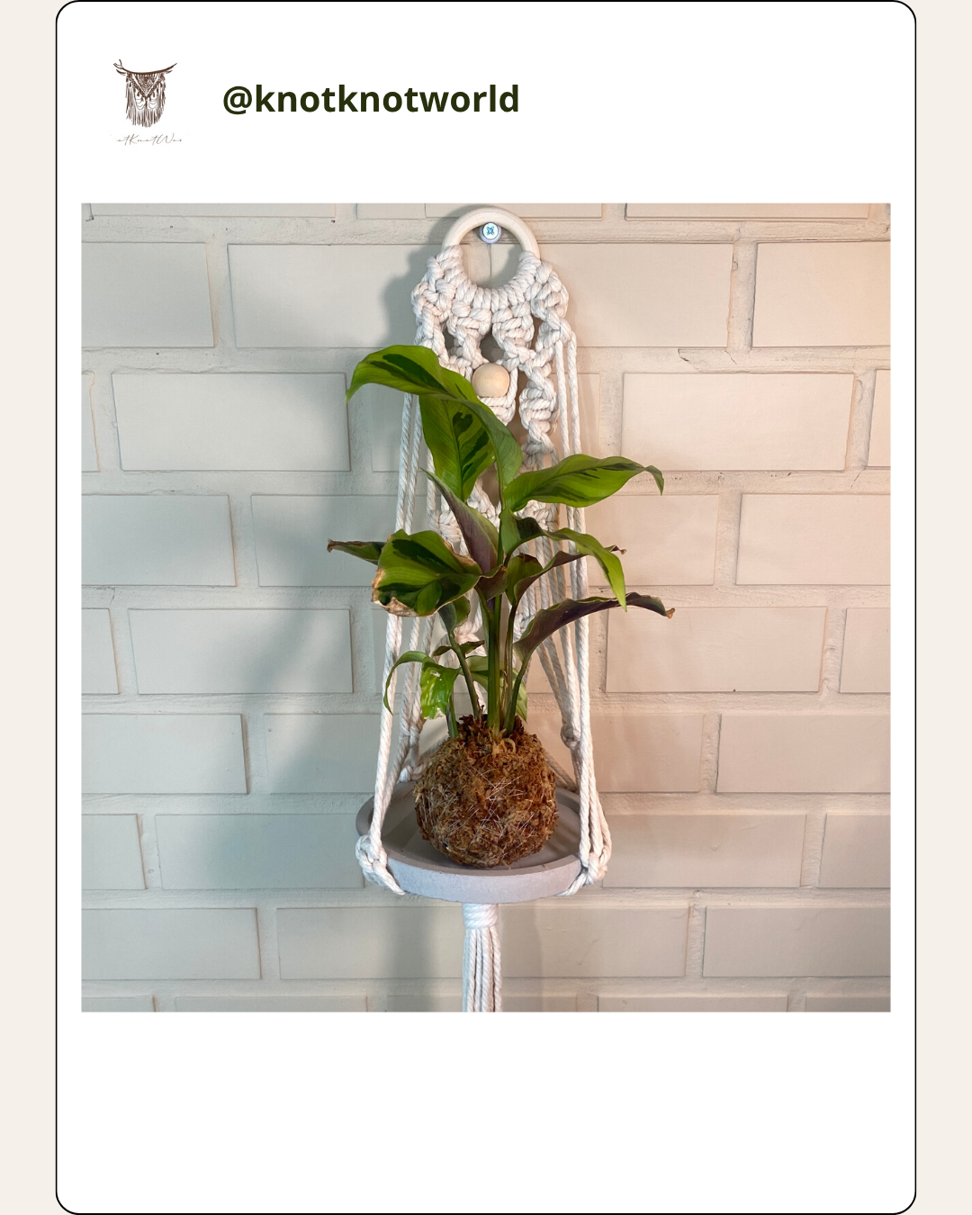 盆栽網兜（入門）