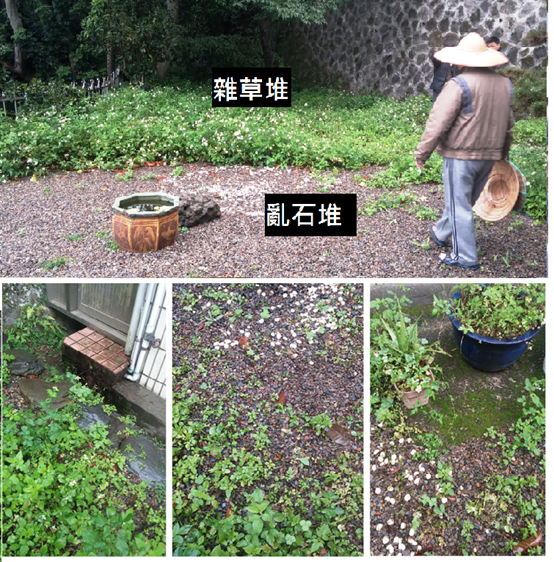 別墅庭院改造前碎石雜草叢生痛點
