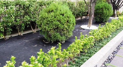 雙層工法鋪設雜草抑制蓆-1