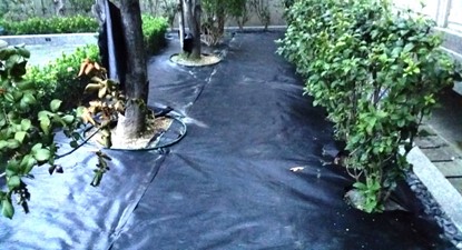 雙層工法鋪設雜草抑制蓆-2