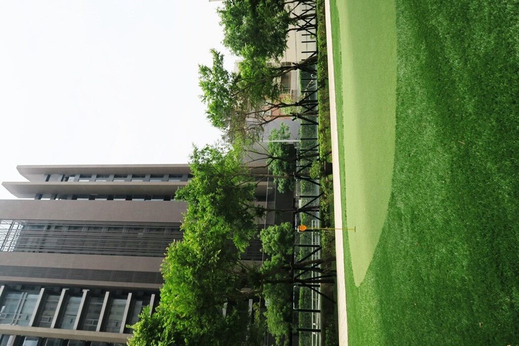 豐邑前景無限豪宅社區人工草皮後續規劃