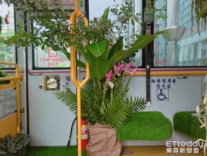 踏上森林公車陣陣花香撲鼻而來