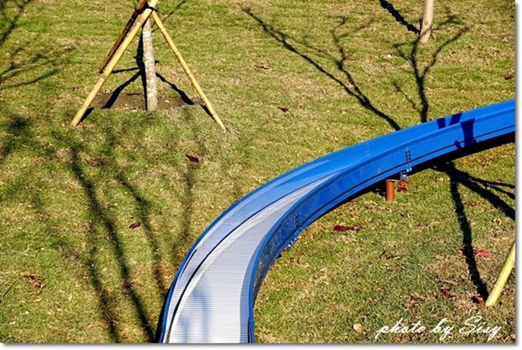20190218-6