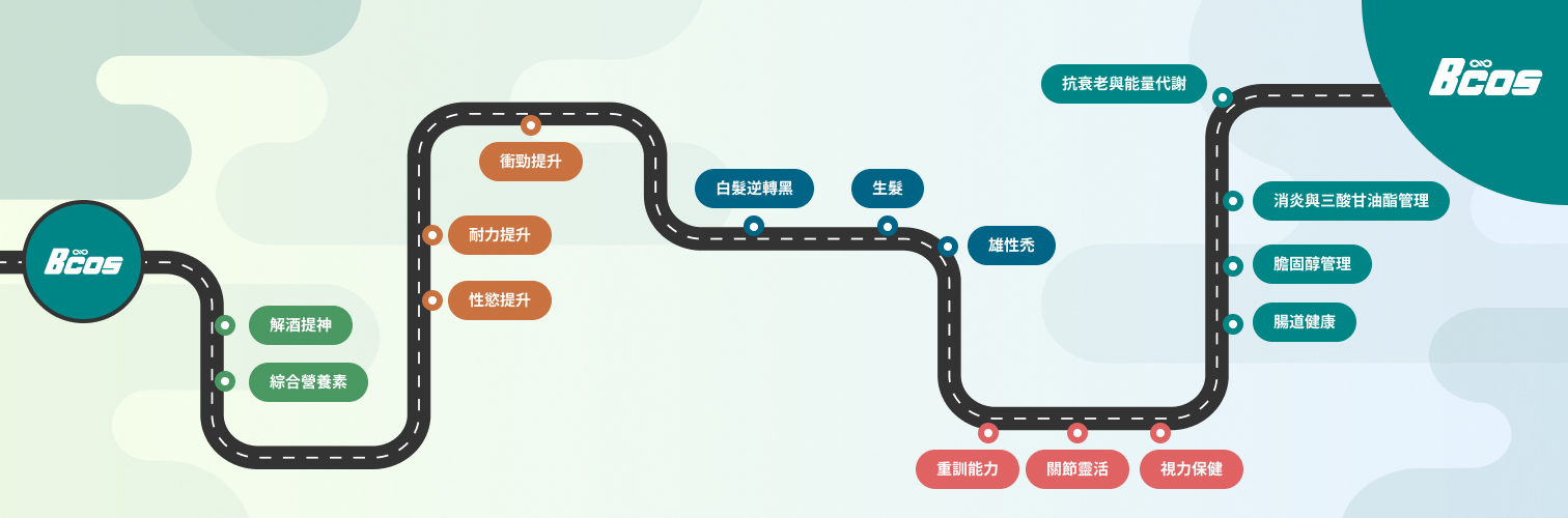 BCOS 熟男養護完整營養路線圖