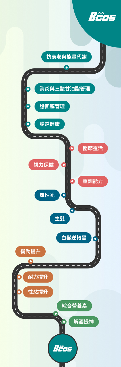 BCOS 熟男養護完整營養路線圖