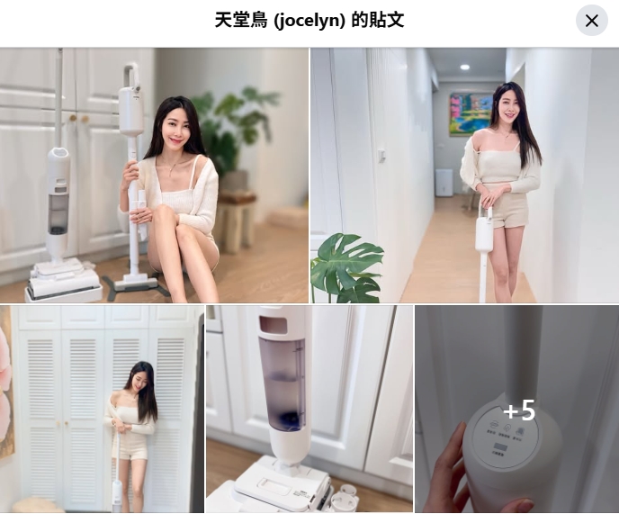天堂鳥 推薦