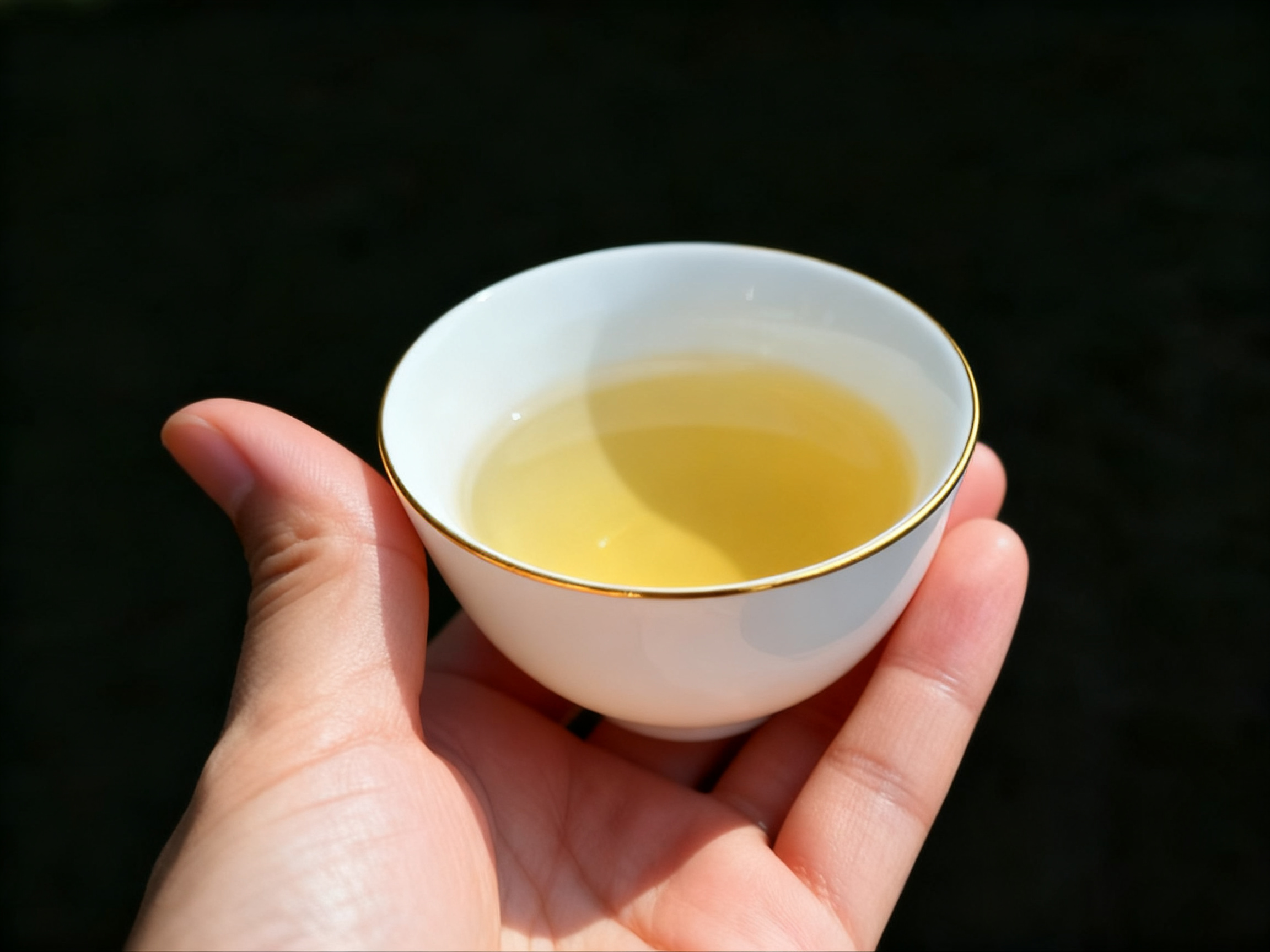 謝江林茶莊重要歷程