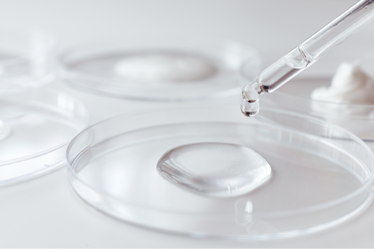 Environmental microbiological monitoring process conducted under controlled laboratory conditions