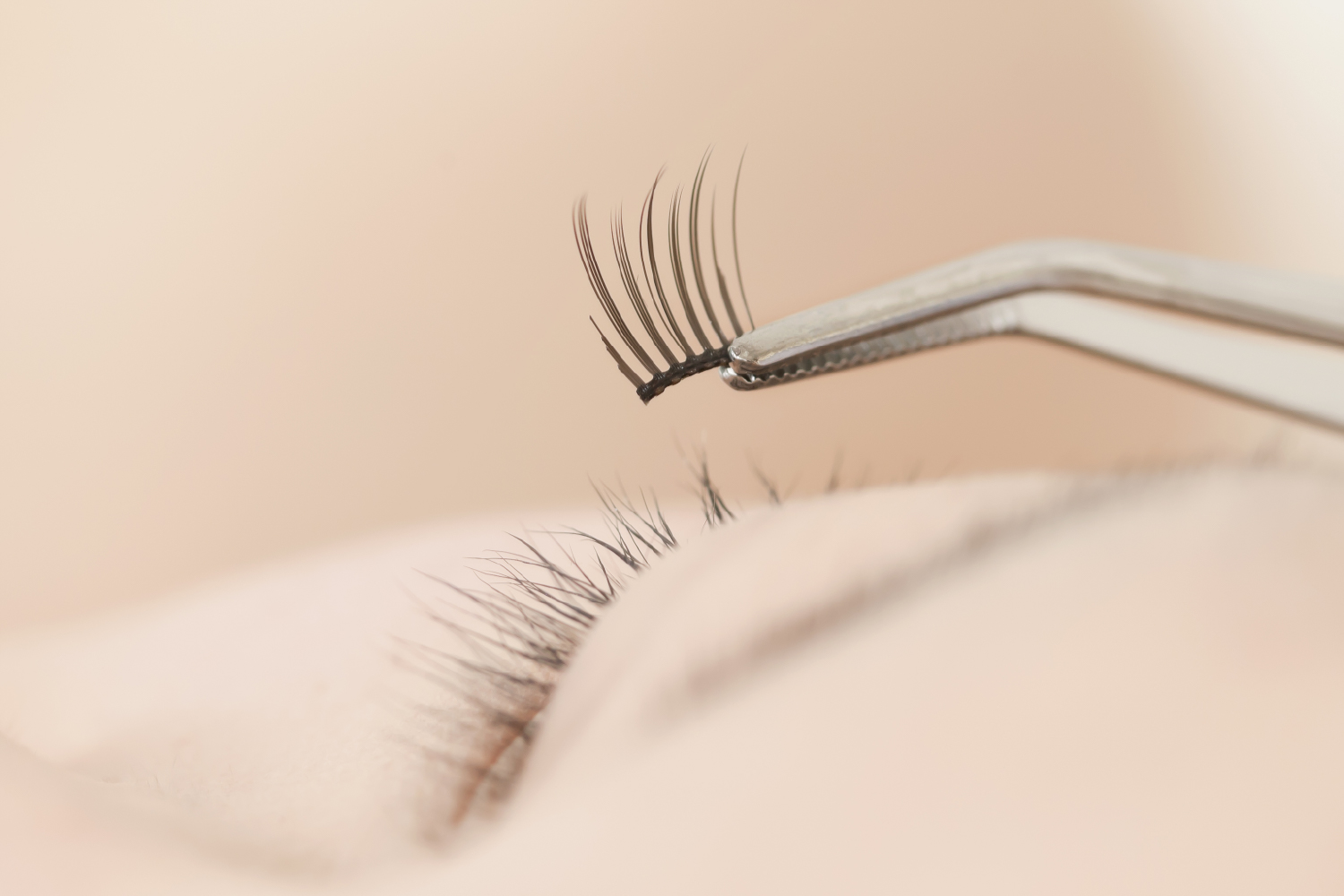 Eyelash extension being placed during lash procedure - emphasizing fast-drying property of OEM lash glue in lash technician application.