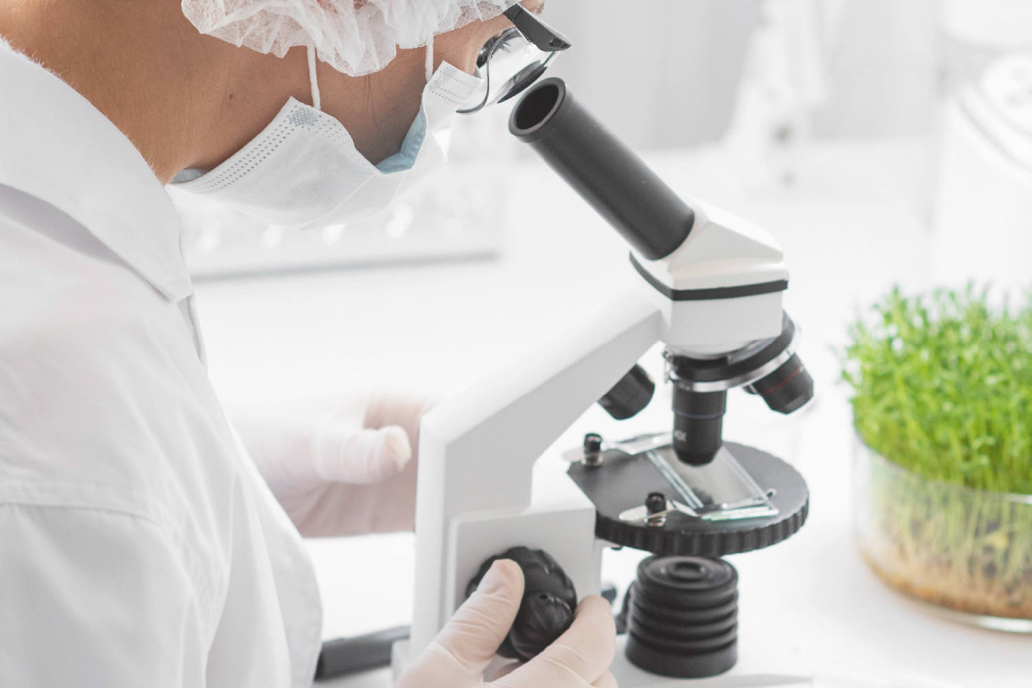 Scientist observing through a microscope with plant extract beside, indicating ingredient safety and international compliance
