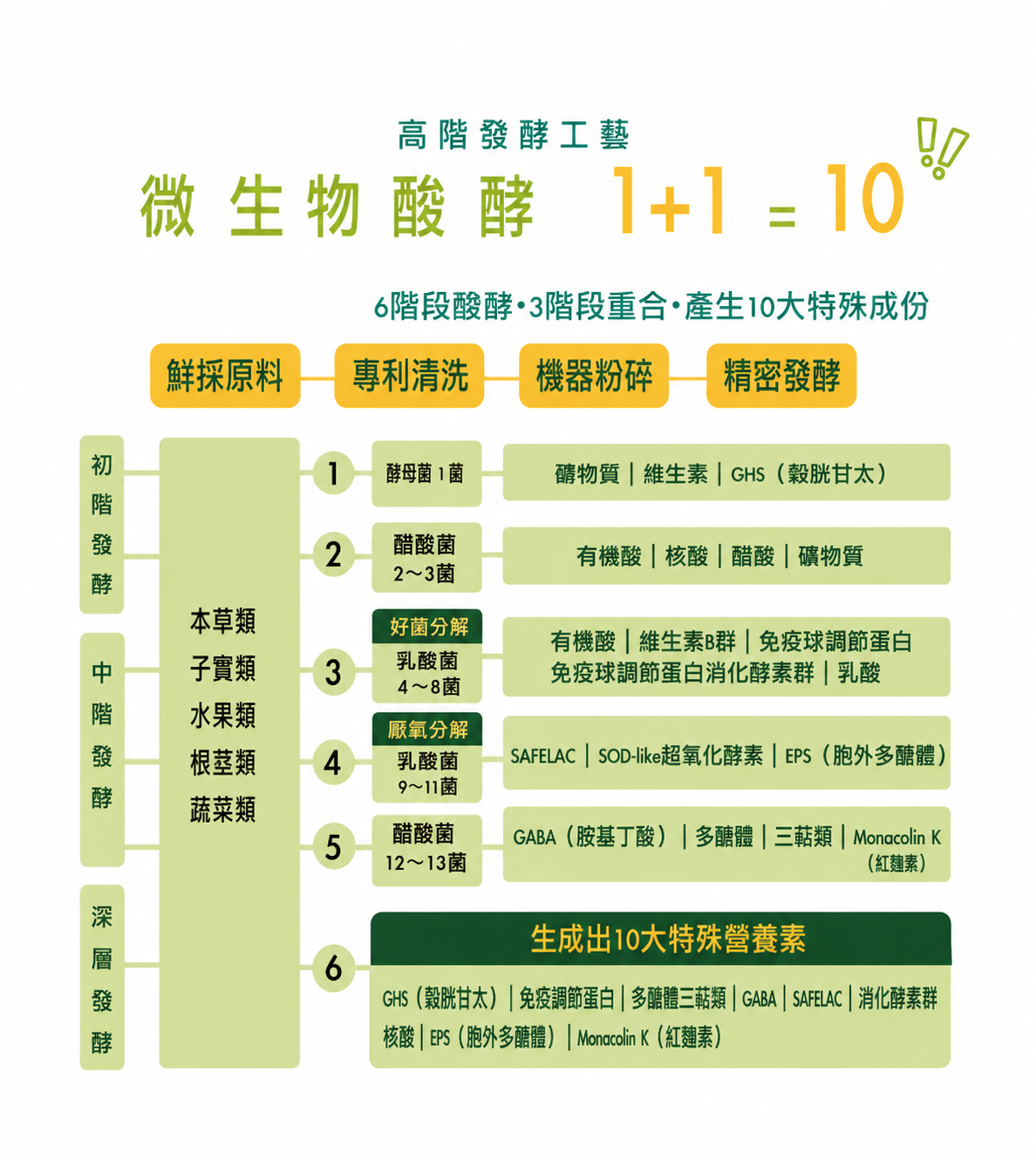 高階發酵工藝與微生物酸酵說明