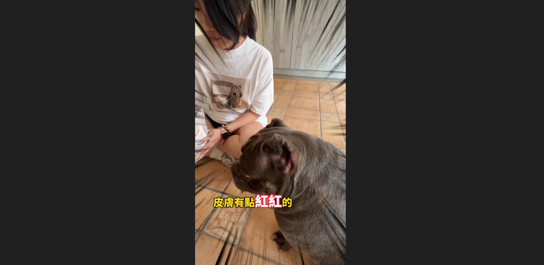 惡霸犬皮膚紅紅癢癢？日常這樣保養就對了
