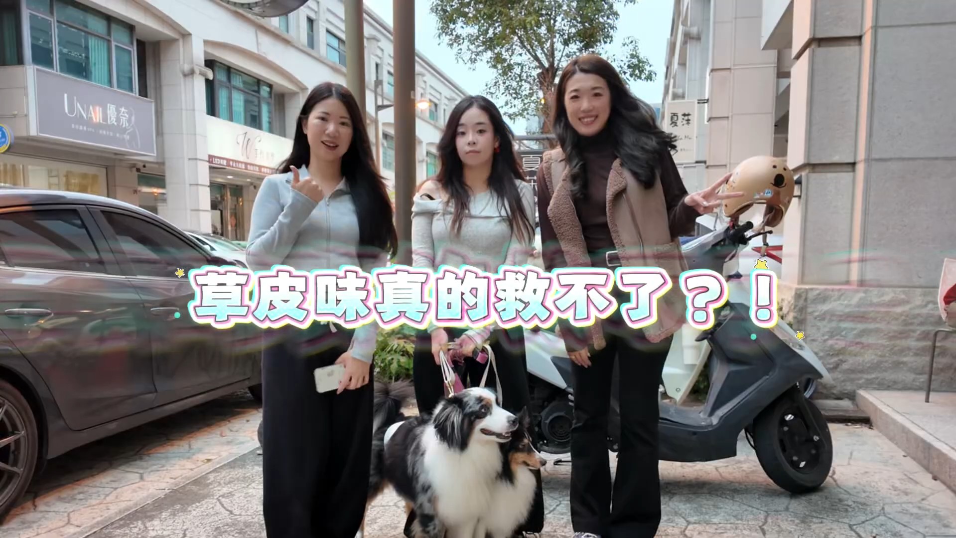瑞媽毛孩清潔分享