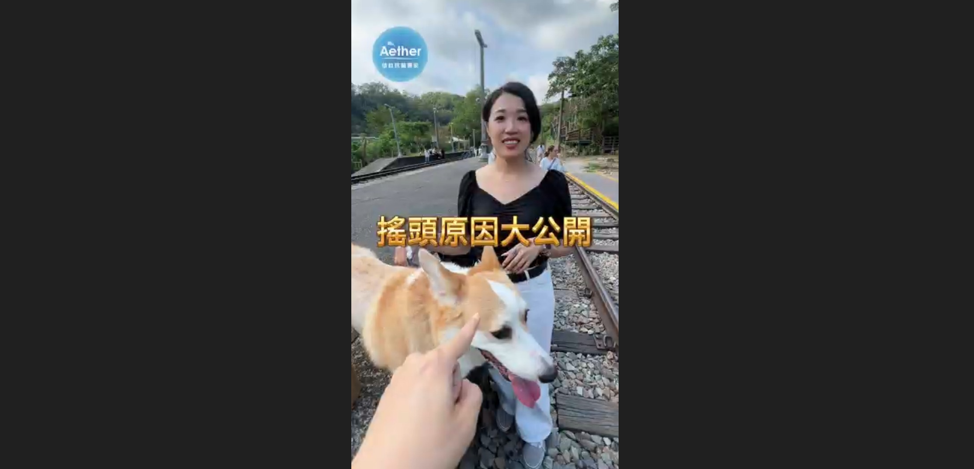 狗狗搖頭原因大公開
