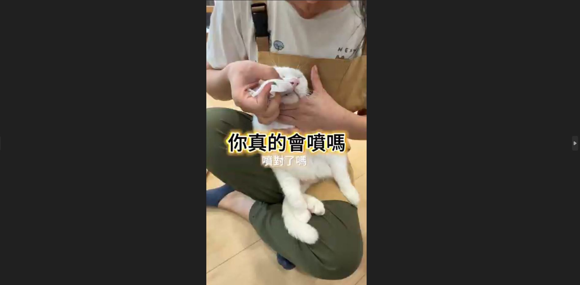 抗菌噴霧你用對了嗎?