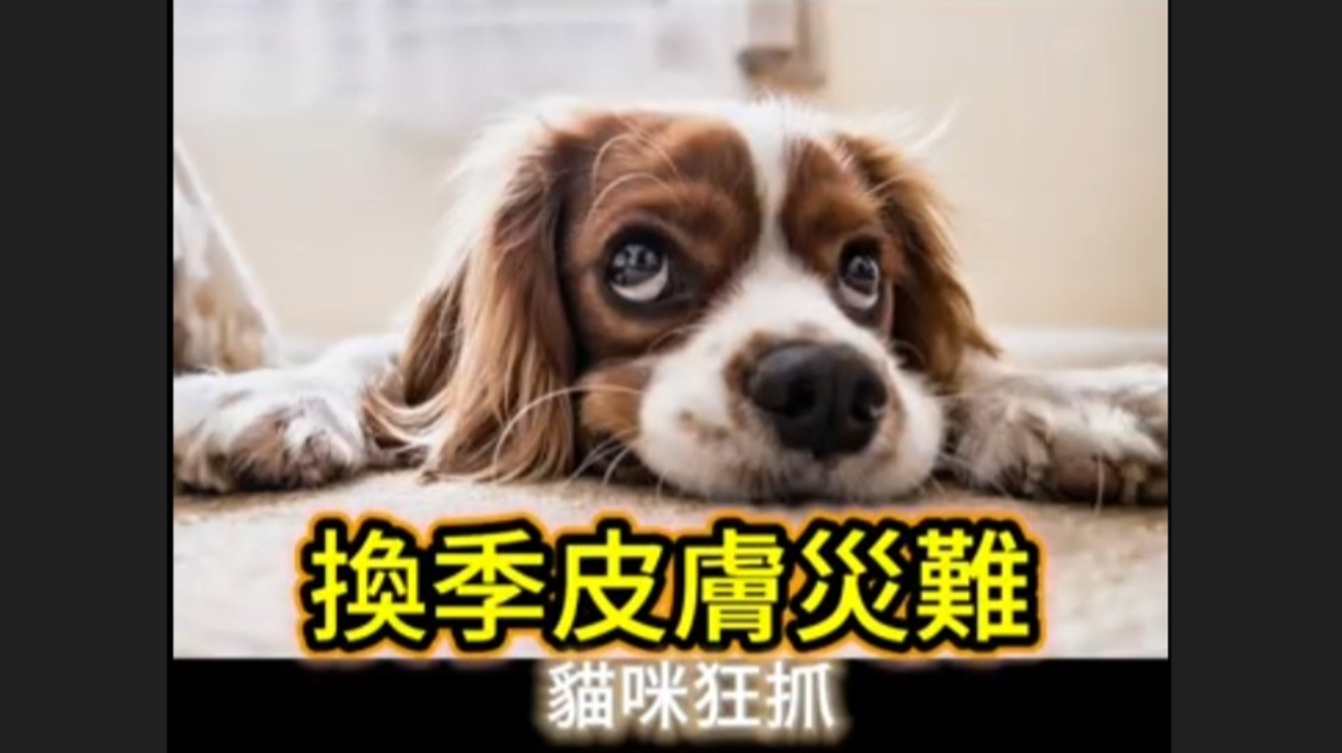 換季抗菌噴霧來了