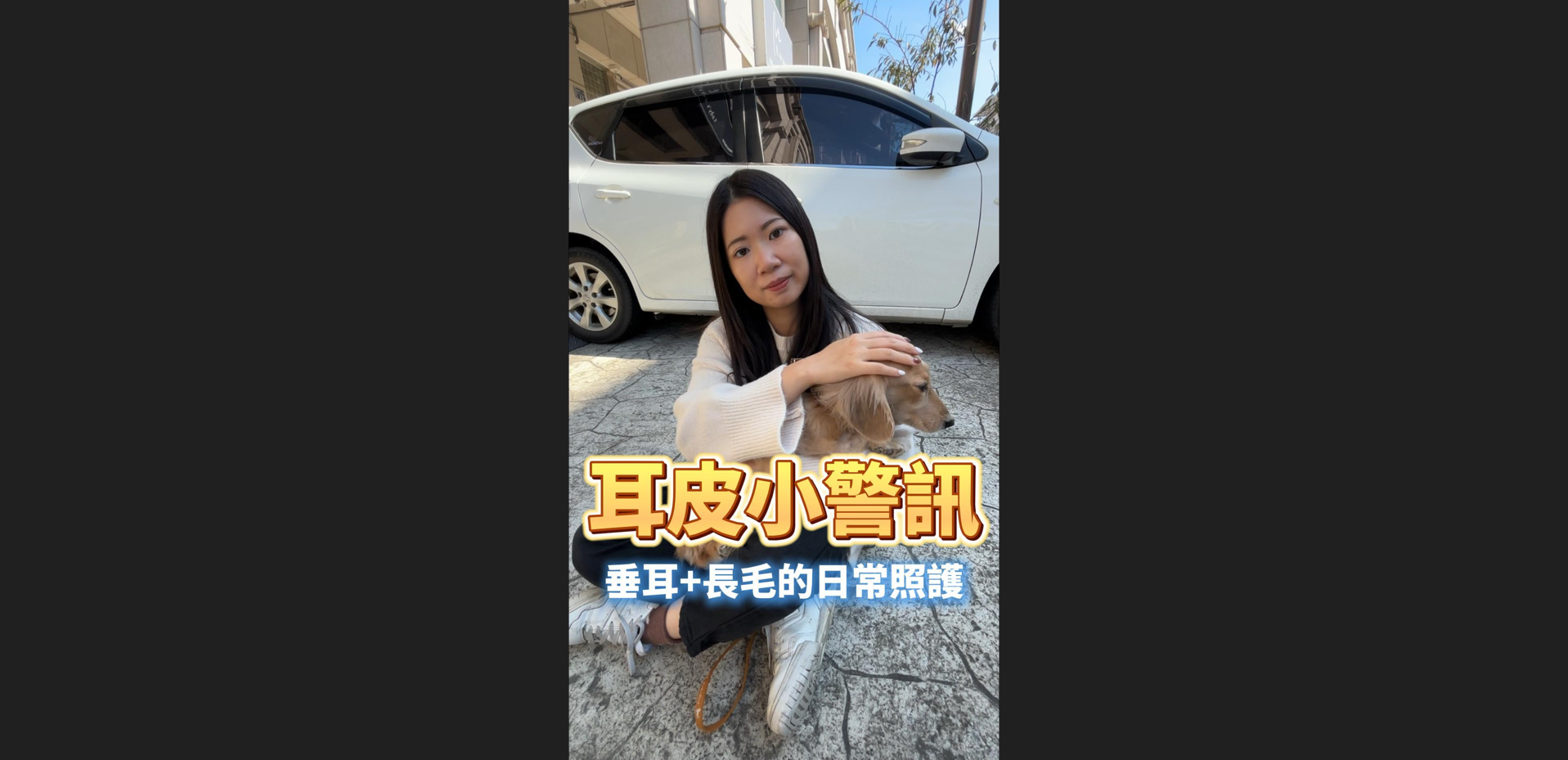 毛孩的耳皮小警訊