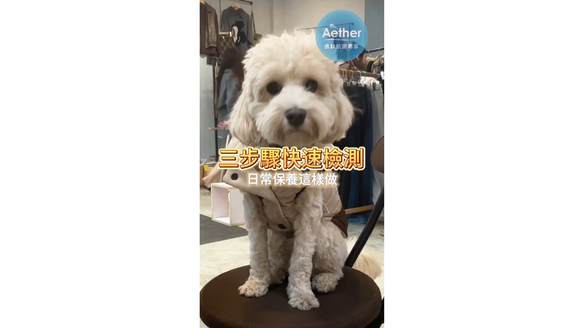 狗狗最近一直舔腳嗎