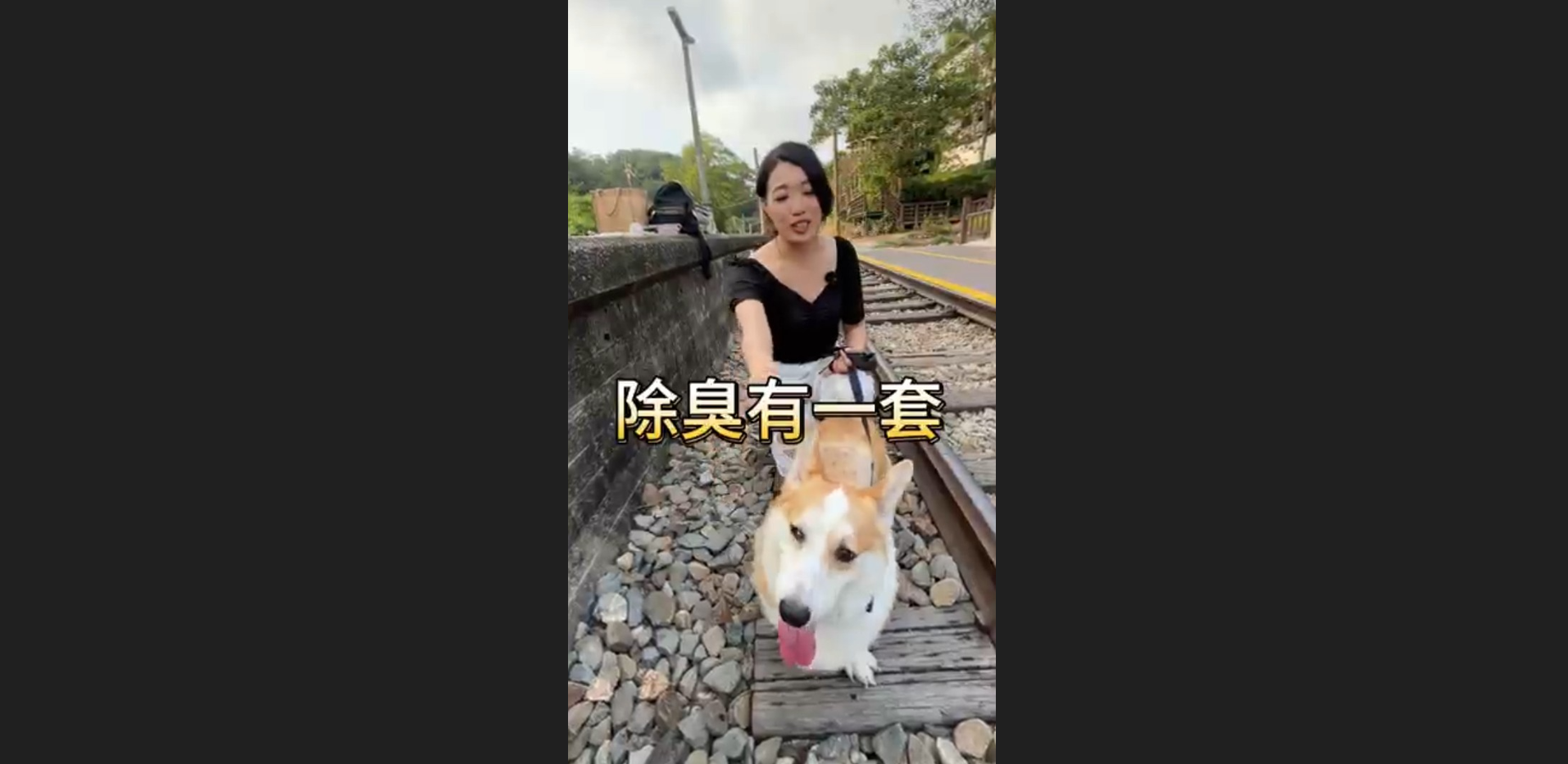 除臭有一套