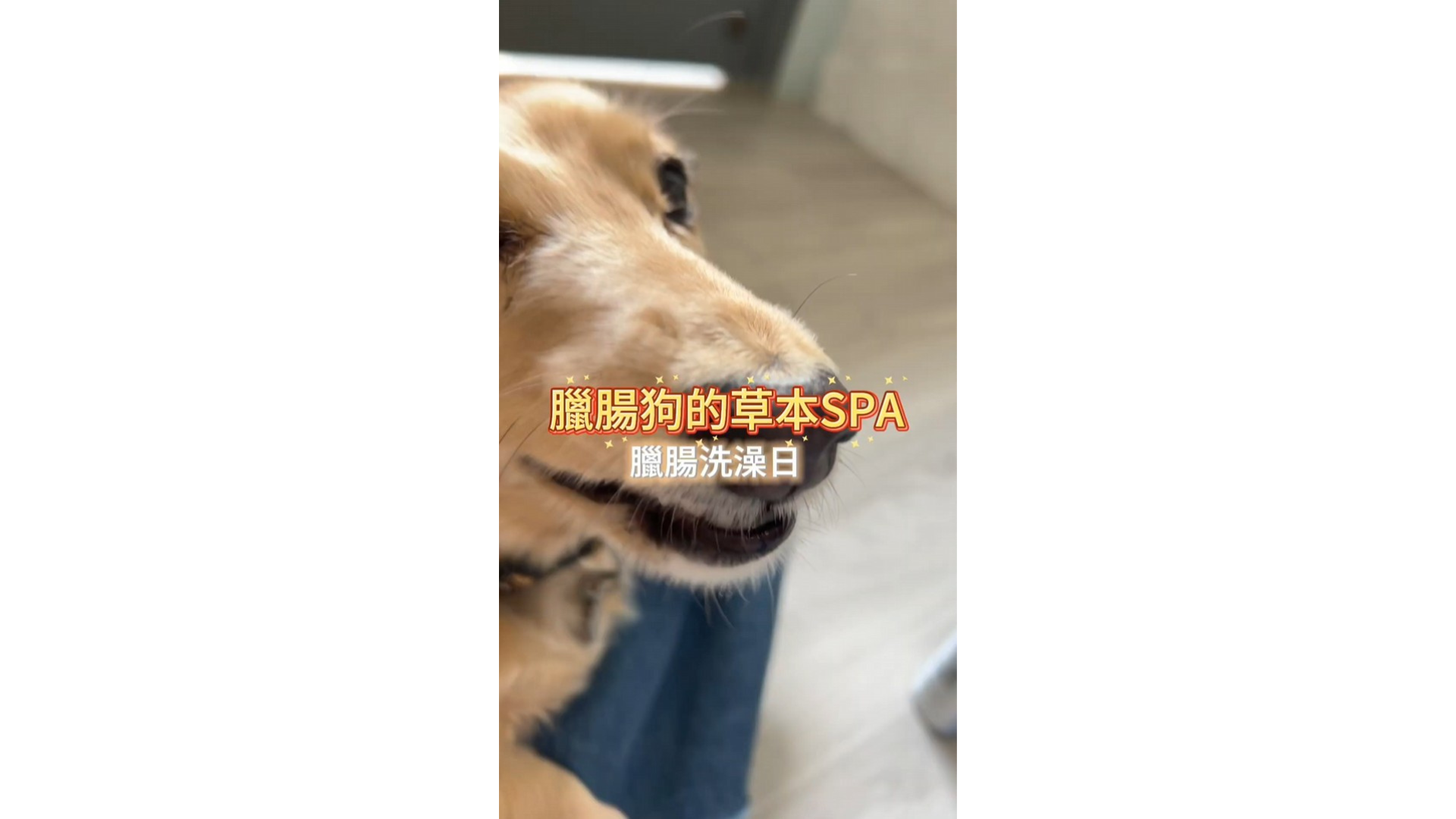 來場草本SPA吧