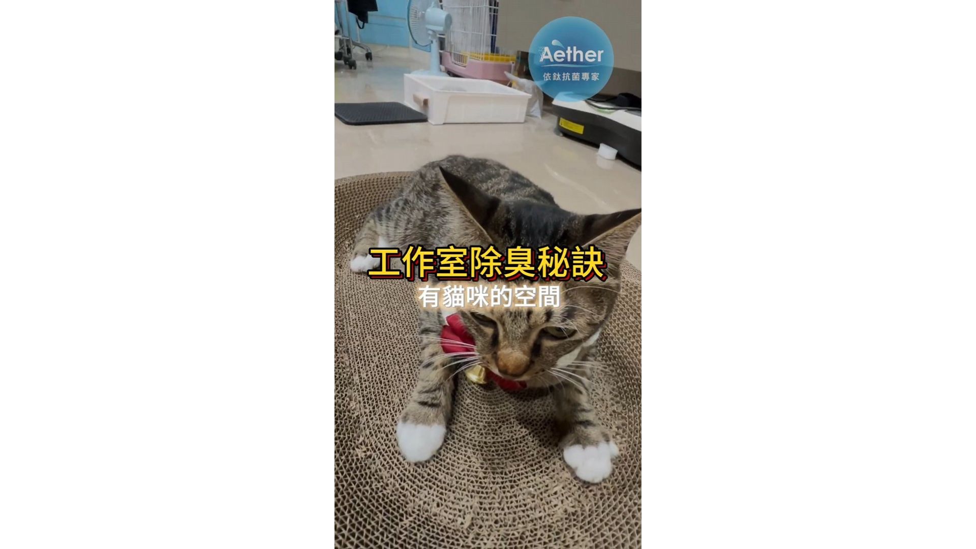 居家工作室除臭秘密