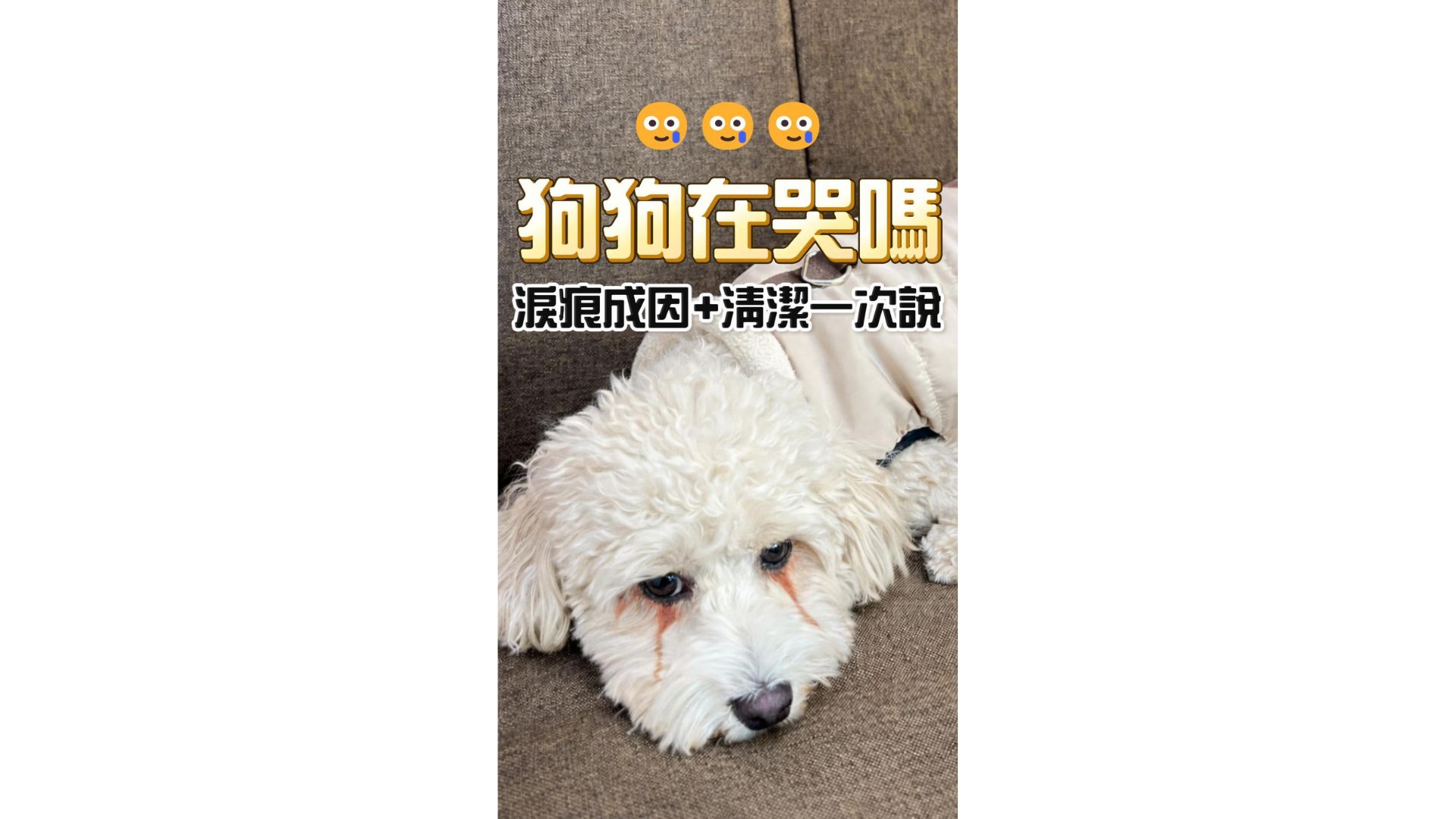 淚痕怎麼來?