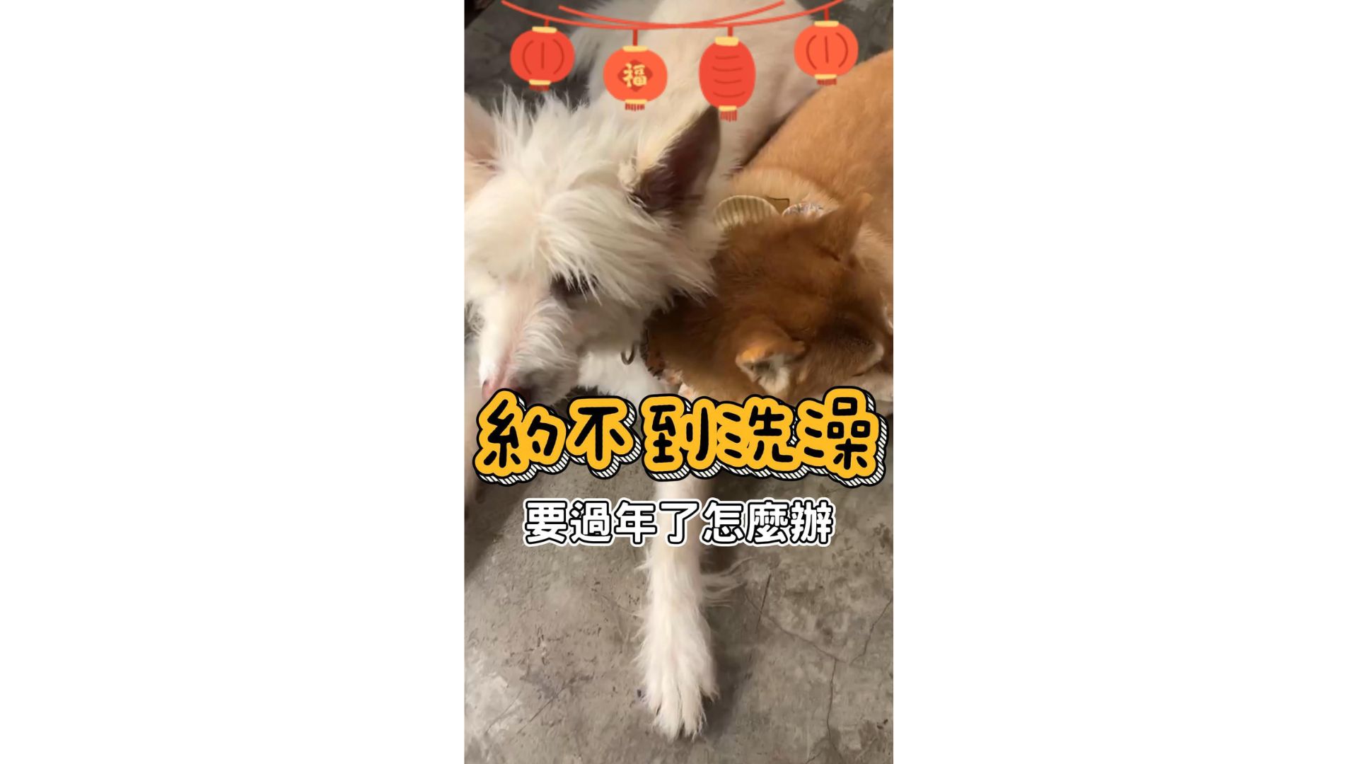 沒洗澡也能清爽