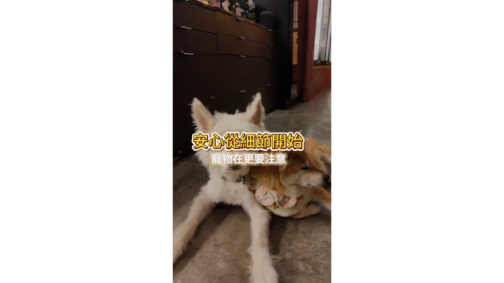 安心從細節開始
