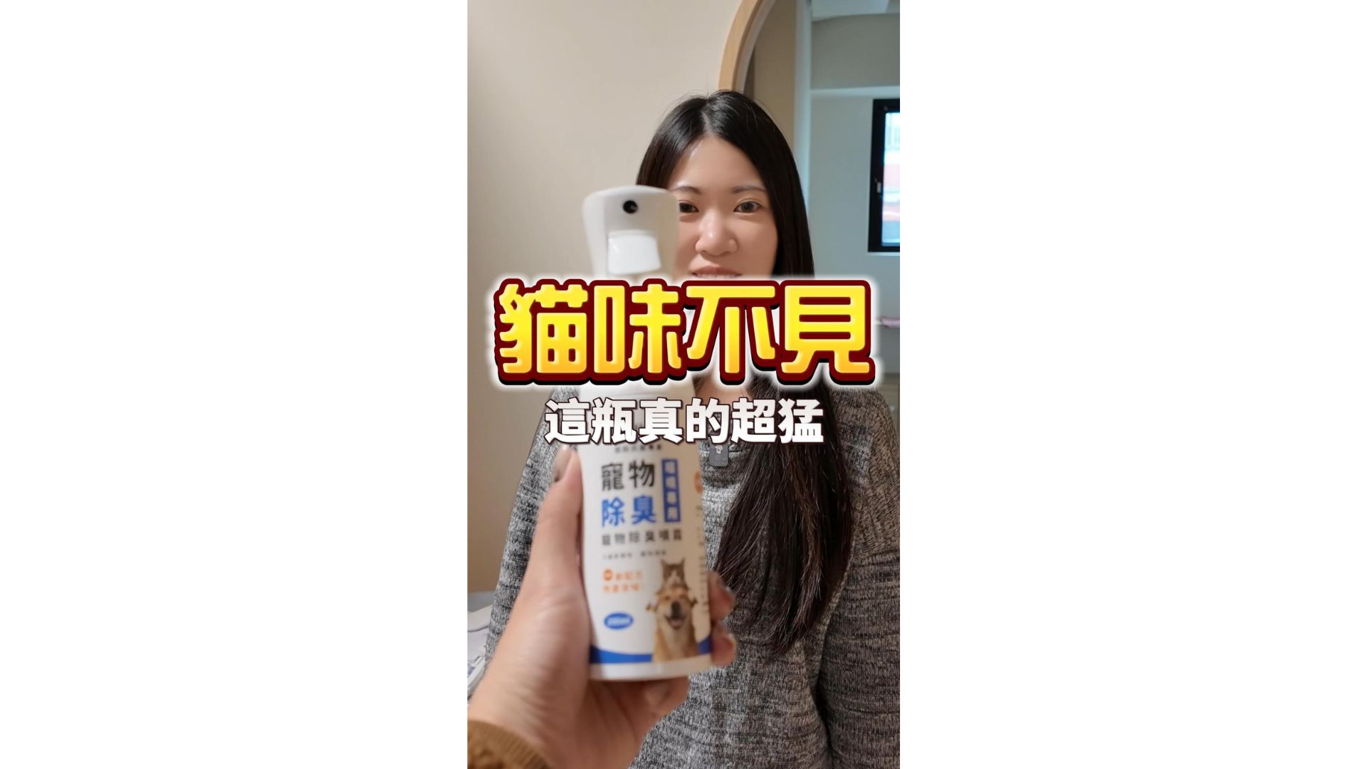是什麼讓小編聞不到貓