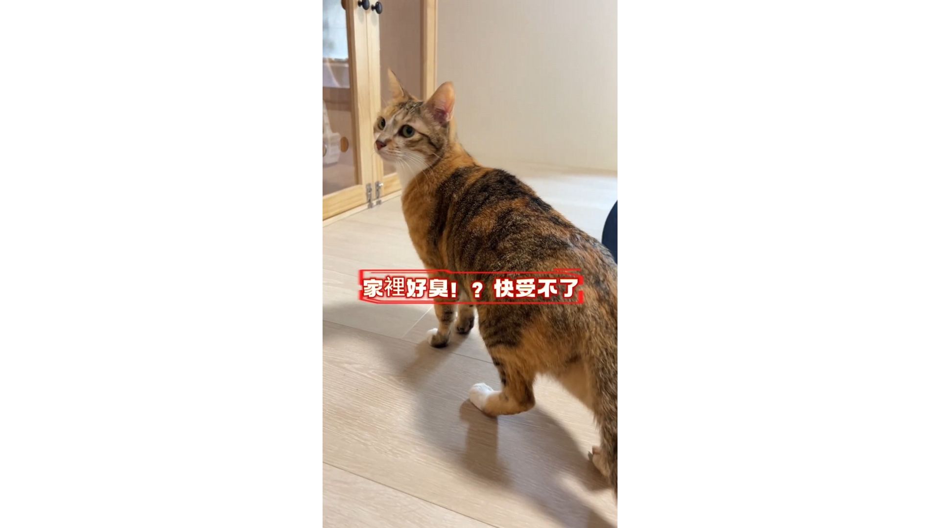臭味OUT，快樂IN！