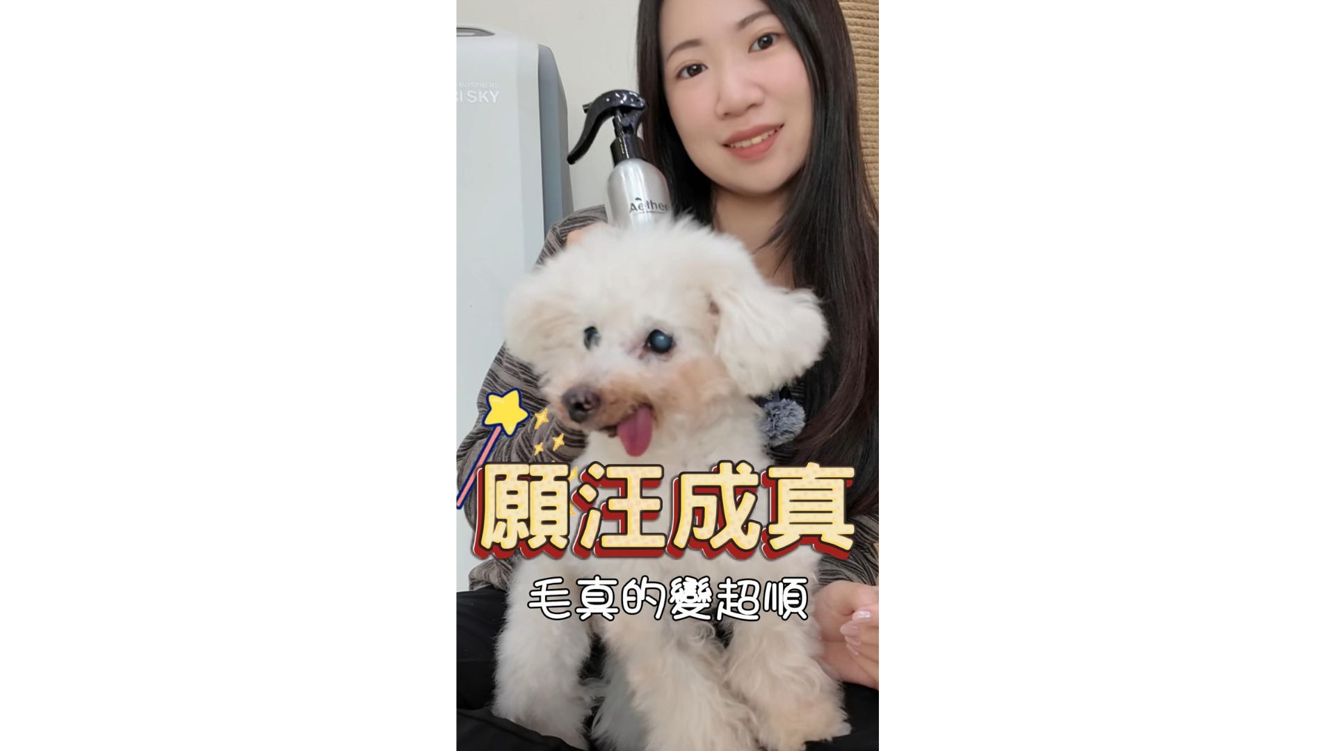 讓狗狗願望成真