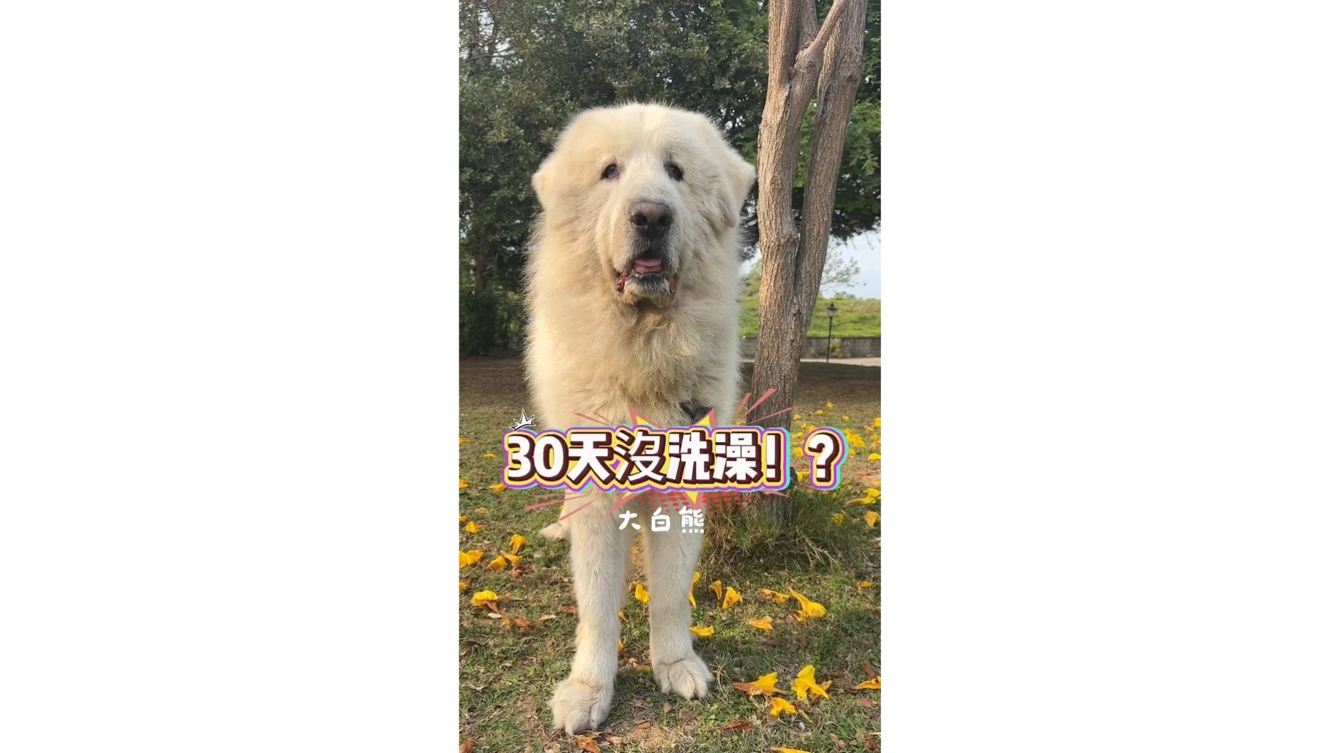 30天不洗也不臭
