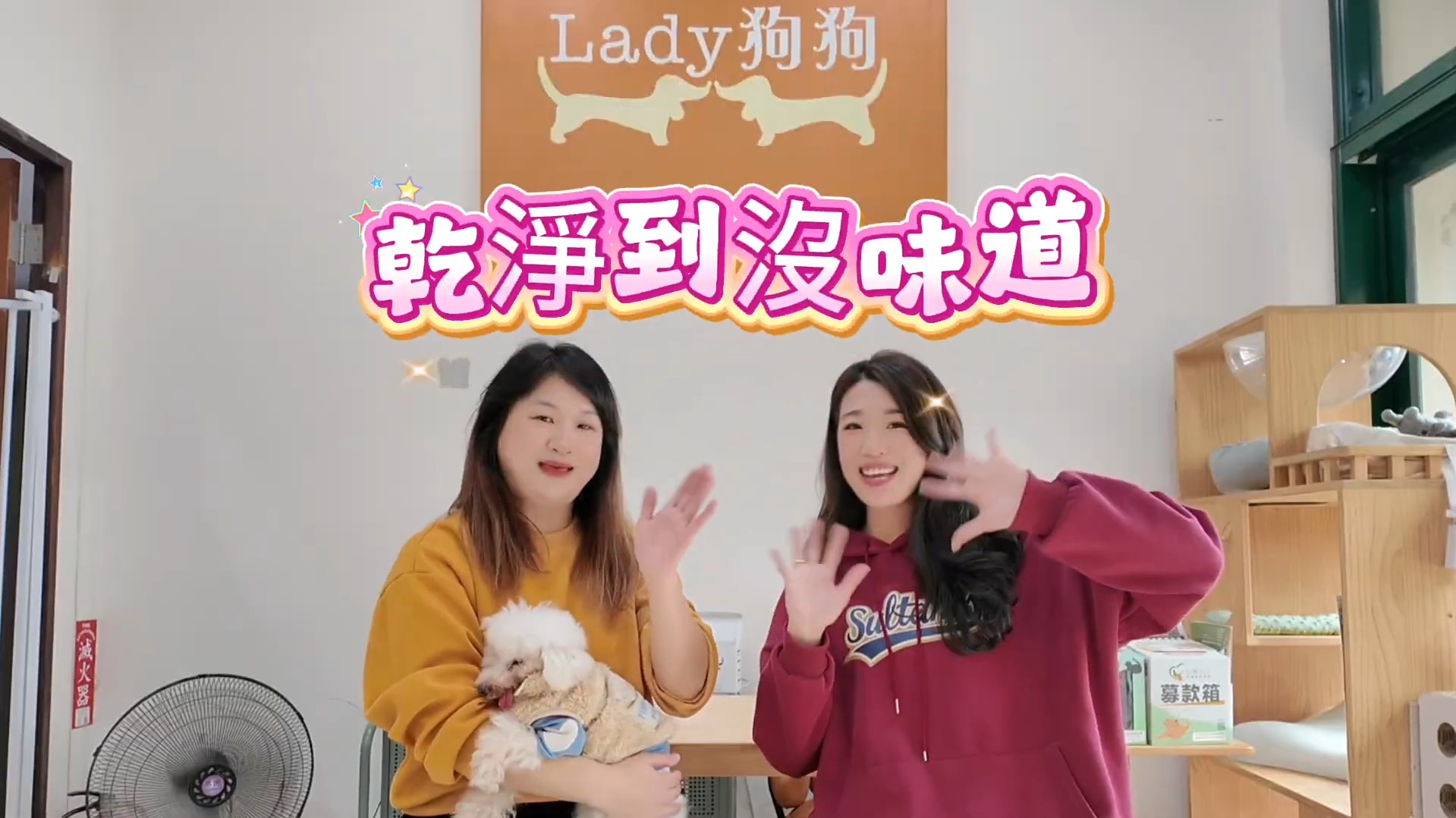 Lady狗狗無味秘密