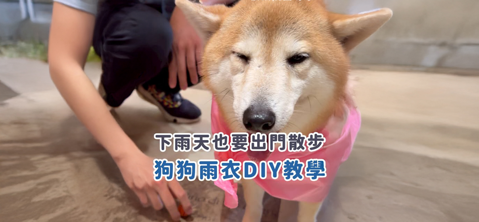 影片封面