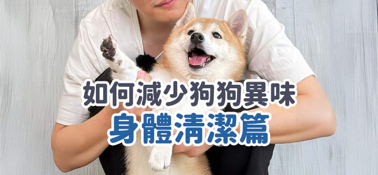 影片封面