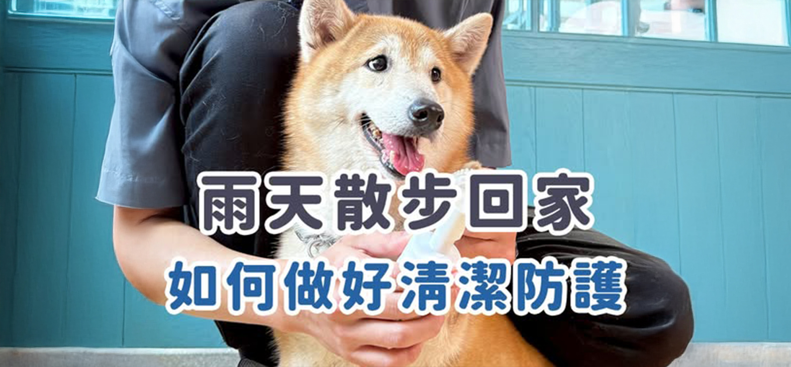 影片封面