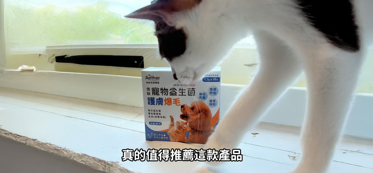 影片封面