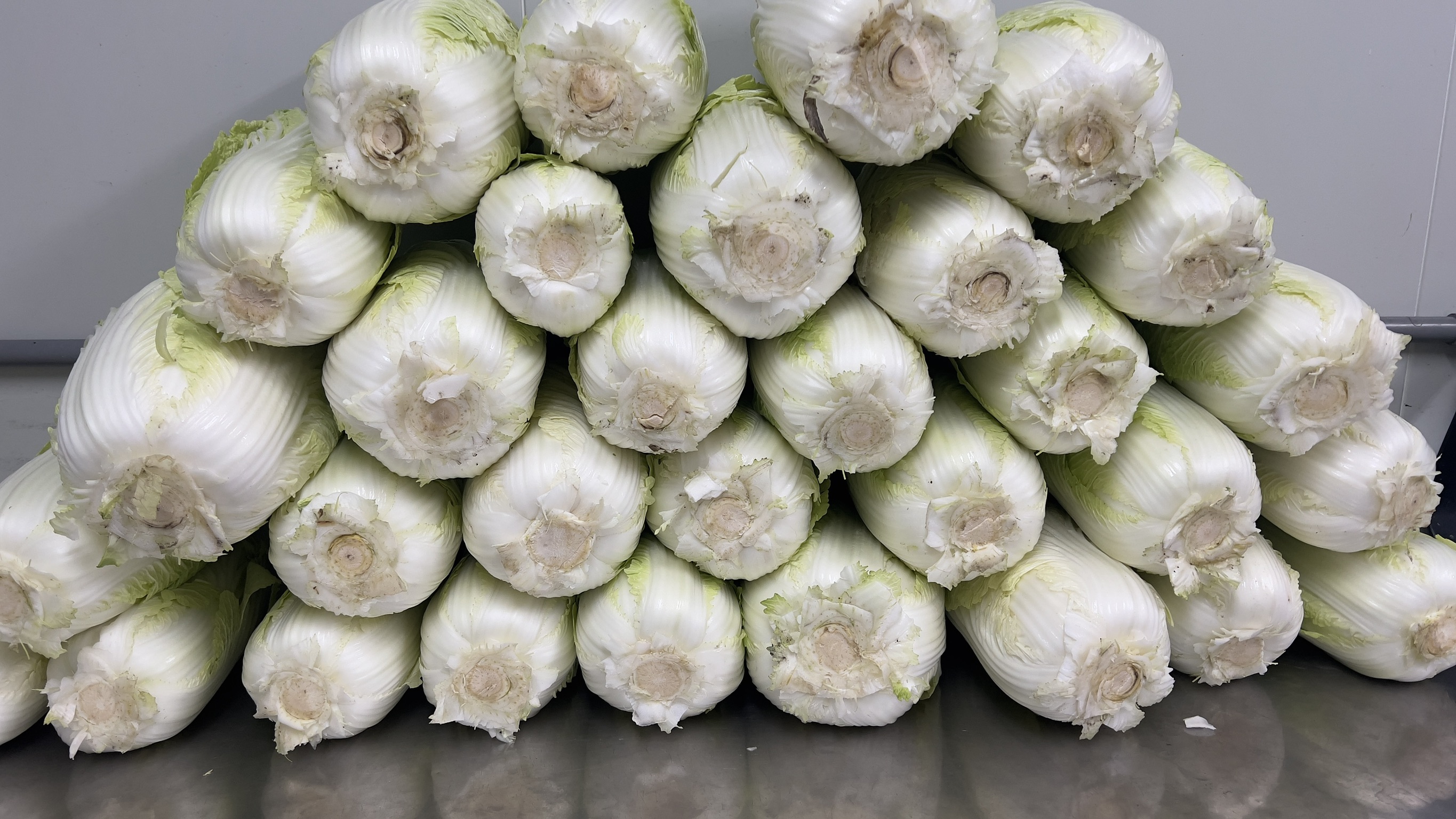 進口大白菜原料