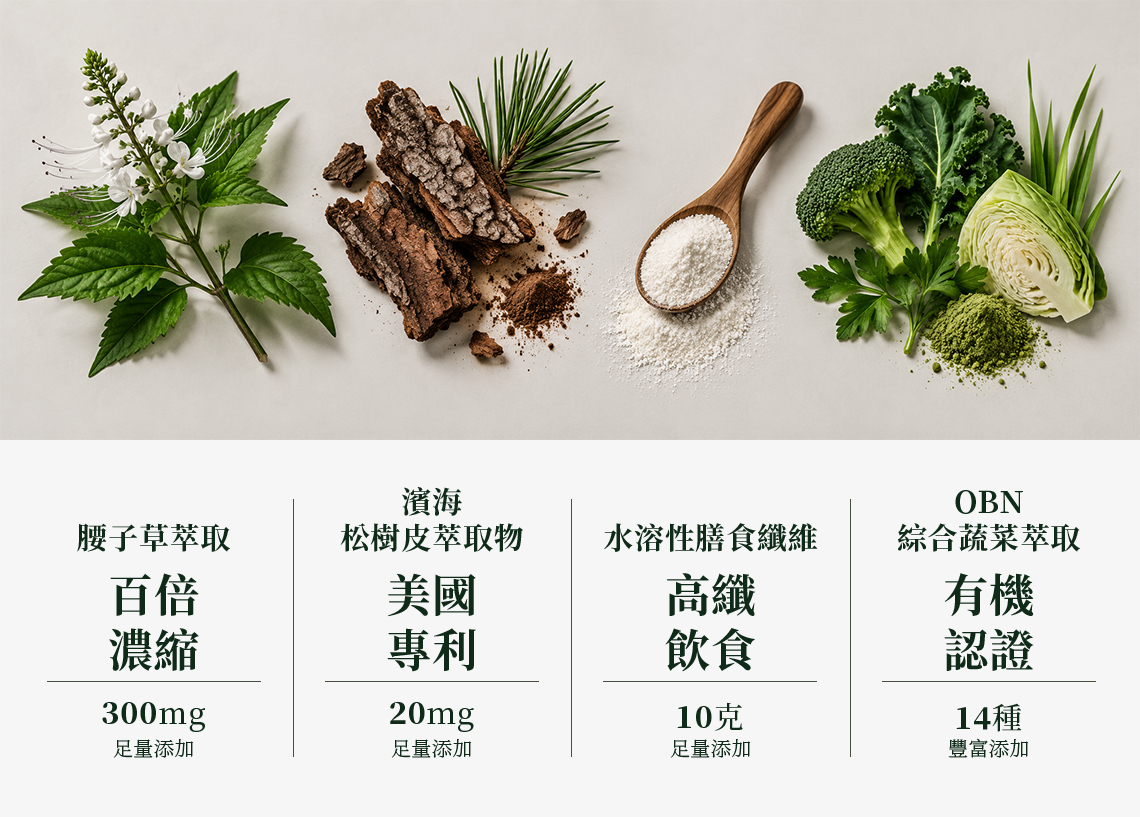 樂康森醫腰子草主視覺 2